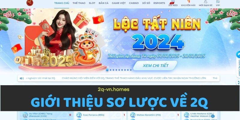 Giới thiệu sơ lược về 2Q