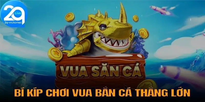 Bí kíp chơi vua bắn cá 2Q thắng lớn từ cao thủ 