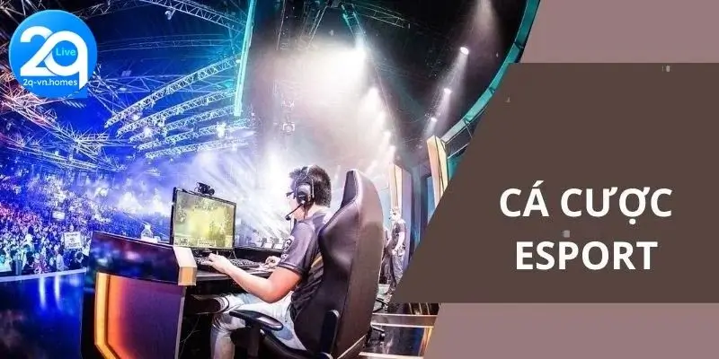 Cá cược Esport là gì 2Q